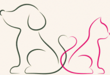 screenshot 2026 04 19 192257