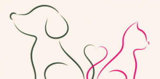 screenshot 2026 04 19 192257