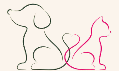 screenshot 2026 04 19 192257