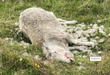 screenshot 2026 04 22 201614