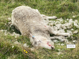 screenshot 2026 04 22 201614