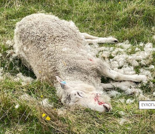 screenshot 2026 04 22 201614