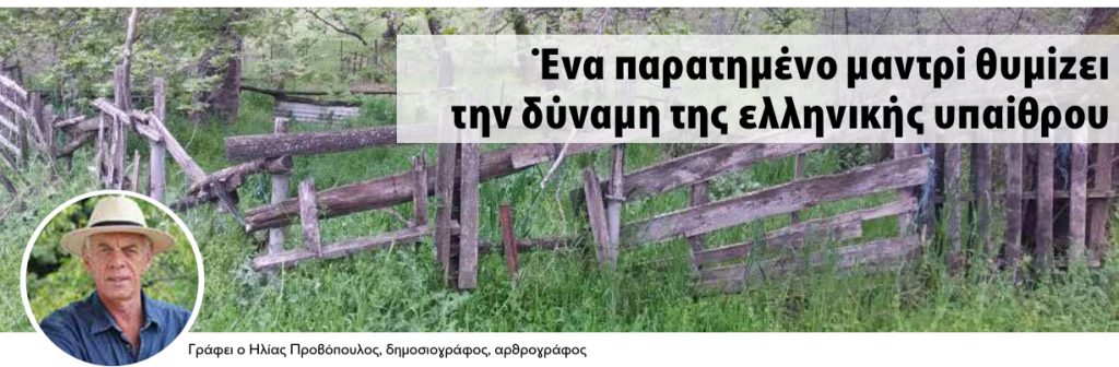 screenshot 2026 04 26 210655