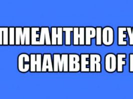 ΕΜΠΟΡΙΚΟ ΕΠΙΜΕΛΗΤΗΡΙΟ