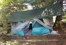 «Ξήλωσαν» Χασισοφυτεία-Μαμούθ στην Ευρυτανία – Δύο Συλλήψεις σε Συντονισμένη Επιχείρηση της ΕΛ.ΑΣ. foto 5