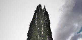 Ιδρύθηκε ο Πολιτιστικός Λαογραφικός Σύλλογος Πρασιάς Ευρυτανίας «Το Κυπαρίσσι του Πατροκοσμά» ΠΡΑΣΙΑ ΣΥΛΛΟΓΟΣ