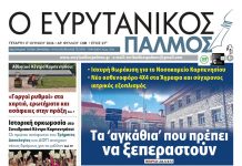 evrytanikos palmos 1208