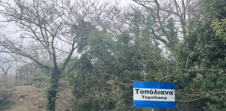 Τα «ντάλικα» των Τοπόλιανων image