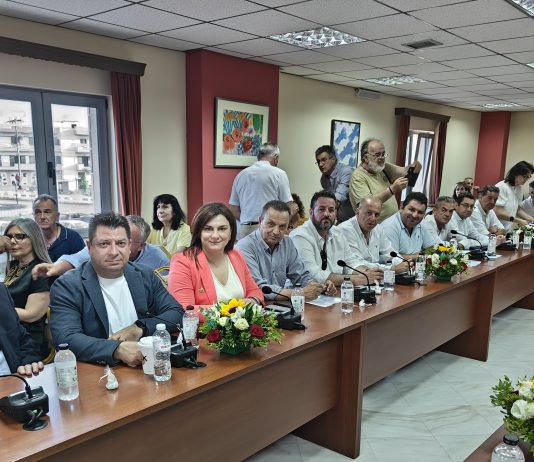 Μέτωπο της Π.Ε.Δ. Στερεάς Ελλάδας κατά του νέου χωροταξικού για τις ΑΠΕ ΠΕΔ