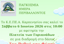 ΠΕΡΙΒΑΛΛΟΝΤΙΚΗ ΔΡΑΣΗ