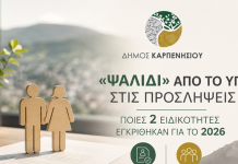 ΨΑΛΙΔΙ