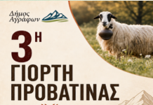 3η Γιορτή Προβατίνας στον Άγιο Δημήτριο Αγράφων: ΓΙΟΡΤΗ ΠΡΟΒΑΤΙΝΑΣ