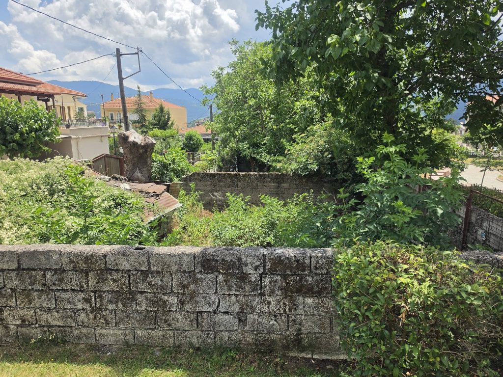 ΝΕΡΑΪΔΑ2