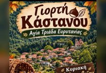 ΓΙΟΡΤΗ ΚΑΣΤΑΝΟΥ