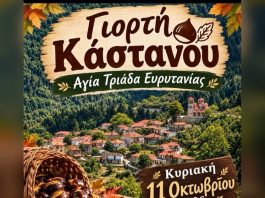 ΓΙΟΡΤΗ ΚΑΣΤΑΝΟΥ
