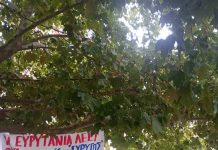 ΕΥΡΥΤΟΣ