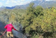Υπό έλεγχο δύο πυρκαγιές στον Δήμο Αγράφων σε Δαφνούλα και Τσούκα Παλαιοκατούνας ΠΥΡΚΑΓΙΑ ΤΣΟΥΚΑ