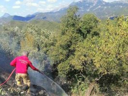 Υπό έλεγχο δύο πυρκαγιές στον Δήμο Αγράφων σε Δαφνούλα και Τσούκα Παλαιοκατούνας ΠΥΡΚΑΓΙΑ ΤΣΟΥΚΑ