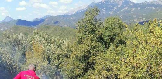 Υπό έλεγχο δύο πυρκαγιές στον Δήμο Αγράφων σε Δαφνούλα και Τσούκα Παλαιοκατούνας ΠΥΡΚΑΓΙΑ ΤΣΟΥΚΑ